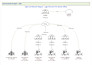 provide network engineering expertise